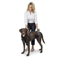 thumbnail image 3 of PetSafe CareLift Support Harness, Full Body Lifting Aid with Handle, Large, 3 of 7