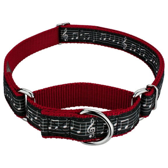 Country Brook Petz® Sheet Music on Red Ribbon Martingale Dog Collar, Extra Large