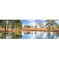 thumbnail image 4 of Assaf Frank 14x7 Black Modern Wood Framed Wall Art Titled - Trees by a lake, 4 of 6
