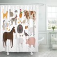 thumbnail image 1 of Cortina de ducha ABPHQTO para baño 152x180 cm, 1 of 2