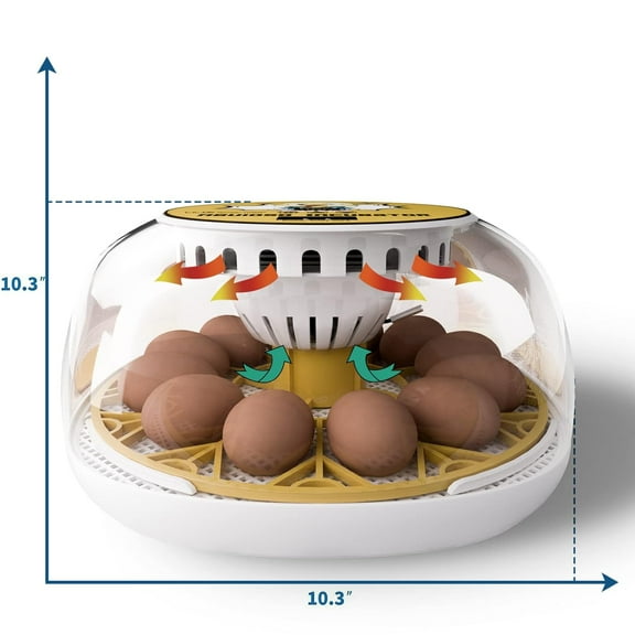 12-24 Eggs Incubator with Auto Turning and Water Top-up for Hatching Chicks