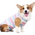 thumbnail image 1 of Ropa de recuperación para perros y gatos NQ pijamas transpirables talla XL, 1 of 5