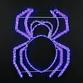 thumbnail image 1 of Novelty Lights LED Purple Halloween Spider Rope Light Motif Sculpture, Halloween Decorations, 1 of 3
