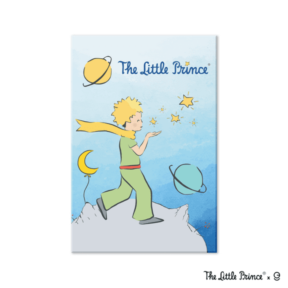 The Little Prince Acrylic Frame-Printing Artwork - Multiple Size Options (EGDLP031)