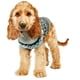thumbnail image 1 of Xihbxyly Suéter para Perro, Suave Franela, Cómodo y Cálido, Elegante Diseño Navideño, Fácil de Limpiar, Perfecto para Mascotas Pequeñas, Tallas Xs-Xl., 1 of 3