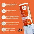 thumbnail image 4 of SHO Vegan Energy+ Focus Supplement Kit- Matcha Green Tea Extract, Methylated B Complex, Vitamin B and Caffeine Natural Energy Booster Without Crash, Jitters for Men and Women - 60 Pills Refill Bottle, 4 of 10