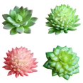 thumbnail image 2 of Plantas suculentas simuladas Suministros creativos de diseño de bricolaje Accesorios para arreglos florales Fabricantes de flores simuladas Plantas simuladas A1 Verde<无品牌> ANGGREK Otros, 2 of 4