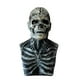 thumbnail image 1 of Xihbxyly Casco con Máscara de Calavera, Diseño de Cabeza Completa con Boca Móvil, Accesorio de Cosplay para Fiestas, Disfraz de Halloween Steampunk, Divertido para Carnaval, Tamaño Ajustable, Diseño, 1 of 1