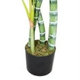 thumbnail image 2 of Wildon Home Palm Tree Plant, 2 of 2