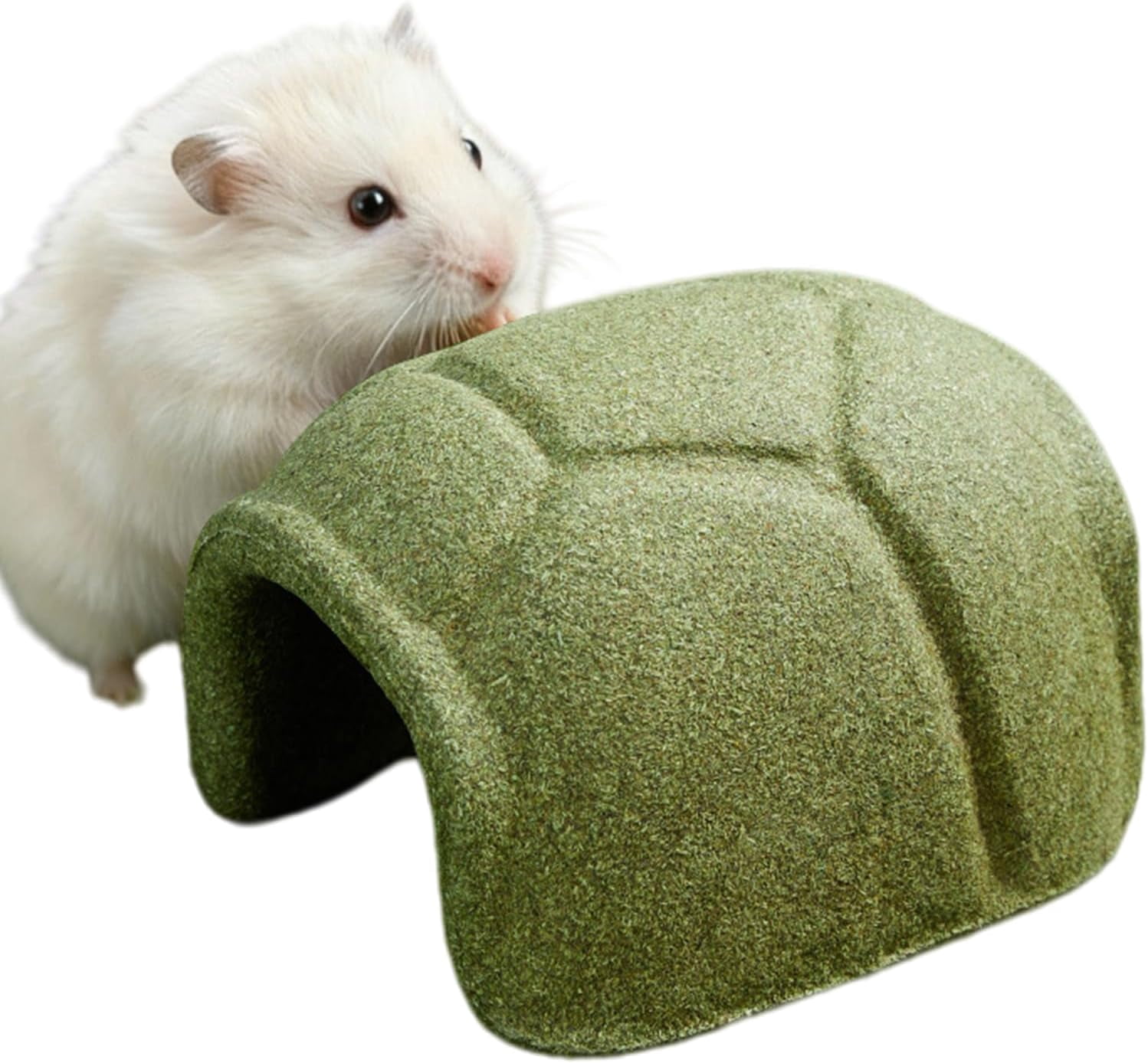 Hamster Chew Toy, Turtle Shell Hideout, All-Season, for Fancy Hamsters