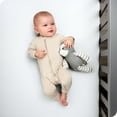 thumbnail image 4 of Bare Home 2 Pack Fitted Sheets - Premium 1800 Collection - Ultra Soft - Crib, Morning Sun/White, 4 of 8