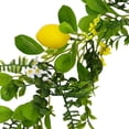thumbnail image 4 of TUITOONM Artificial Lemon Garland 78.74 Inch Realistic Rattan Leaf Decor, UV-Resistant Hanging Wreath for Indoor/Outdoor Wedding & Christmas, 4 of 8