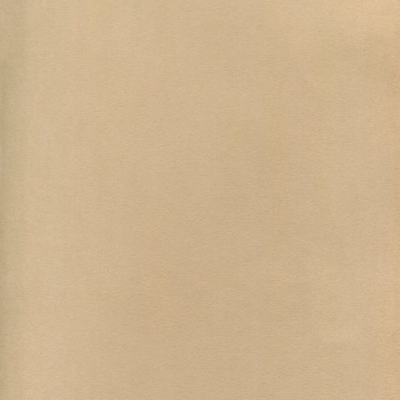 Nova Series 22x30 Sheet 5-pack Beige