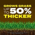 thumbnail image 4 of Scotts Turf Builder Soil Fertilizer, 1.5 cu. ft. with Lawn Repair, 4 of 12