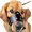 Black, variant on Philowng Dog Muzzle Leather, Soft Secure Anti-Barking Leather Muzzle for Large Sized Dogs to Prevent Biting, Breathable and Adjustable, Allows Drinking and Panting, Used with Collars
