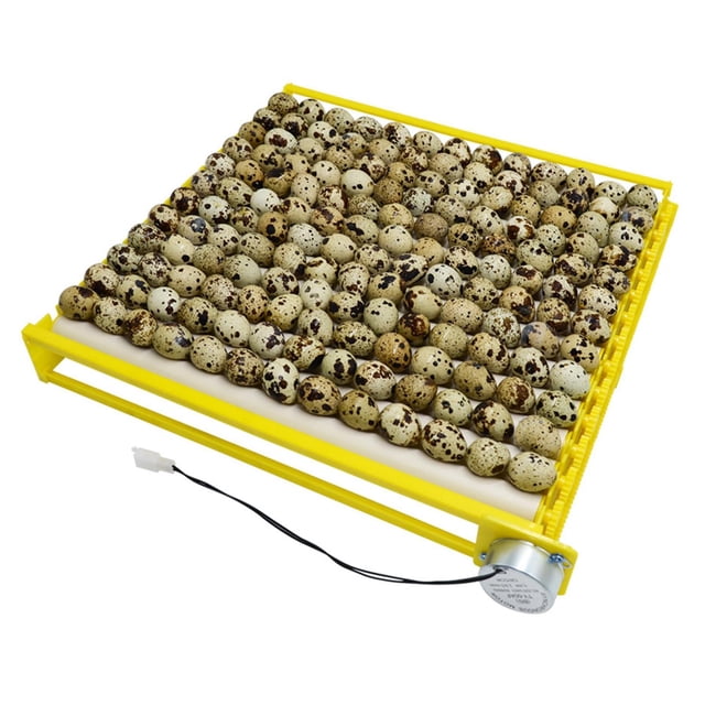 Bandeja giratoria automática de para huevos, herramienta de incubación de granjas, codorniz de , aves, aves, huevos, incubadora para - 56 huevos 13 barras Los 44x44x6cm