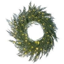24 in. Pre-Lit LED Wreath - Cypress
