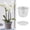A 4.3", variant on Clearance! Haidf Orchid Pot, Clear Orchid Pots with Holes and Saucers, Plastic Orchid Pots for Repotting, Breathable Slotted Orchid Planters for Indoor Outdoor Plants, Orchid Supplies, 3.9 Inch