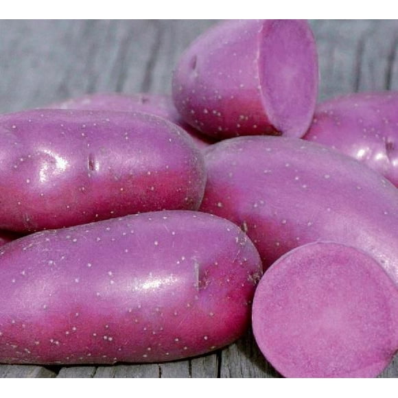 Seed Potato - Red Emmalie (1 kg)