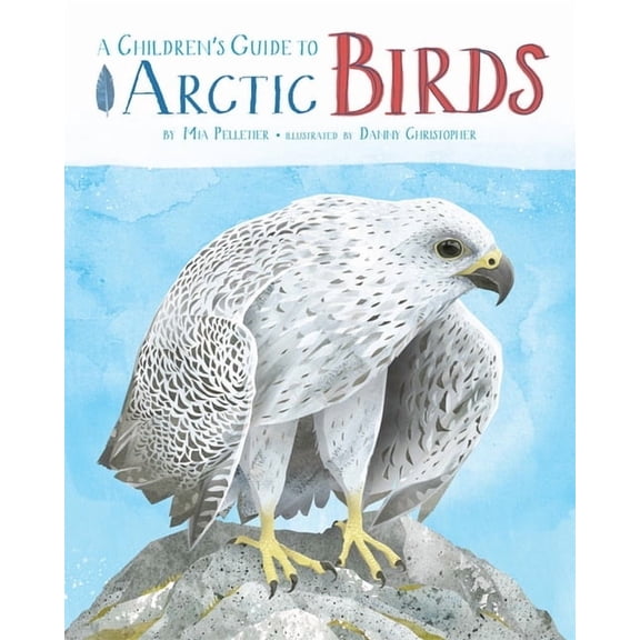 A Children's Guide to Arctic Birds, (Paperback)