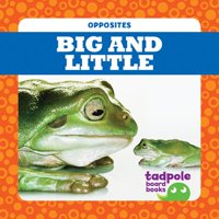 Big and Little (Board Book)