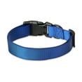 thumbnail image 3 of Vibrant Life Solid Polyester Adjustable Dog Collar, Blue, Large, 3 of 6