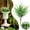 White1, variant on 1 Pack Artificial Boxwood Stems, 14'' Faux Greenery Stems Colorful Fake Flowers Branches, Outdoors UV Resistant Plastic Fake Plants, Shrubs for Vase Planters Garden Office Farmhouse Indoor Decor, A
