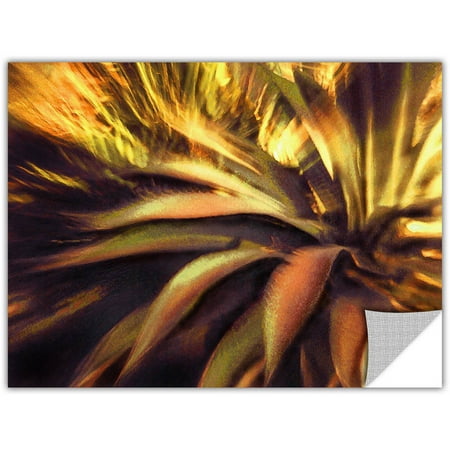 Amare Wall - Dean Uhlinger Agave Puesta, Art Appeelz Removable Wall Art Graphic
