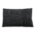 thumbnail image 1 of Ahgly Company Outdoor Rectangular Contemporary Lumbar Throw Pillow, 13 inch by 19 inch, 1 of 5