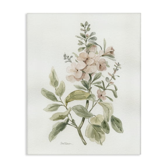 Stupell Industries Dainty Blooming Botanical Plants & Flowers Painting Wrapped Canvas Art Print Wall Art, 16 x 20