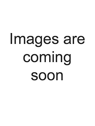 fast forward minnie mouse backpack