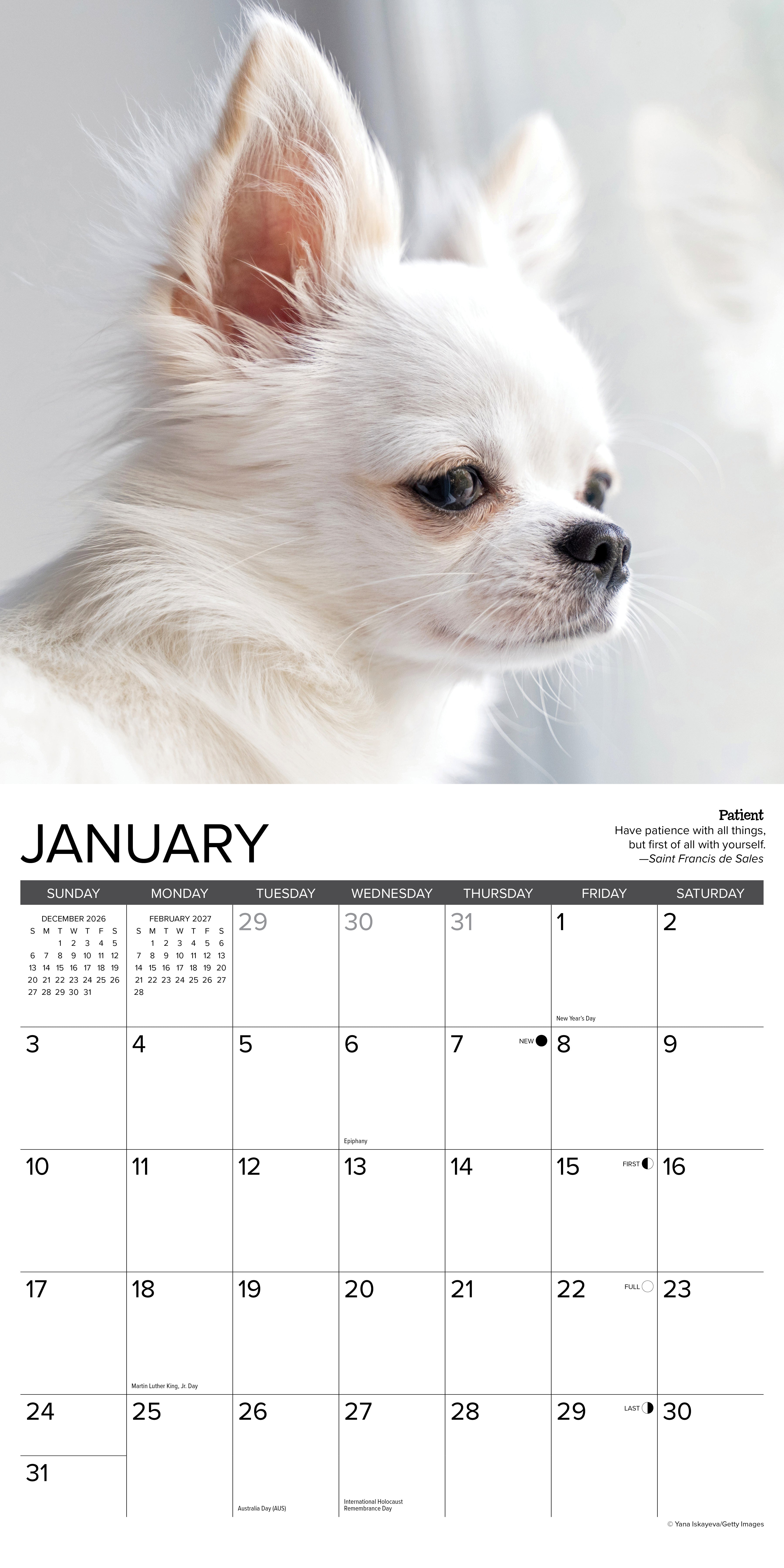 Willow Creek Press, Chihuahua Rules 2027 Wall Calendar