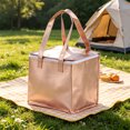 thumbnail image 2 of Scheam Large Insulated Pizza Bag Rose Gold Aluminum Foil Cake Thermal Bags with Zipper and Handles Portable Food Storage Delivery Bag,Reusable for Camping Picnic Takeaway 1Pcs, 2 of 7