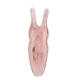thumbnail image 1 of Nose Up Scraper, Resin Nose Scraping Bar Lifting Clips Slimming  For Women For Home Brown, 1 of 8