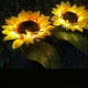 thumbnail image 4 of Luces de jardín solares LED Lámpara de girasol impermeable para exteriores | Cambio de color | Tallos ajustables | IP66 resistente a la intemperie | Batería Ni-MH de 1,2 V/600 mAh | 1 paquete, 4 of 9