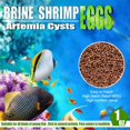 Brine Shrimp Eggs for Aquatic Foods Baby & Fry Foods The Popular 90