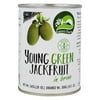 Nature's Charm Young Green Jackfruit in Brine, 20 oz