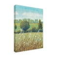 thumbnail image 2 of Trademark Fine Art 'Summer Breeze II' Canvas Art by Tim OToole, 2 of 4