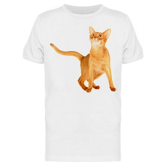 Playful Abyssinian Young Cat  T-Shirt Men -Image by Shutterstock Men T-Shirt, Male XX-Large