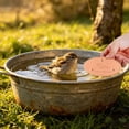 thumbnail image 3 of Bird Bath Water Purifier Discs Natural Enzyme Cleaner For Bird Baths Outdoor Garden Pond Water Treatment, 3 of 4