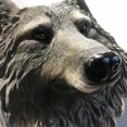 thumbnail image 4 of 2 Uds Cabeza de Animal Escultura de Pared Ornamento Estatua de Resina Decoración Artística Colgante, 4 of 9