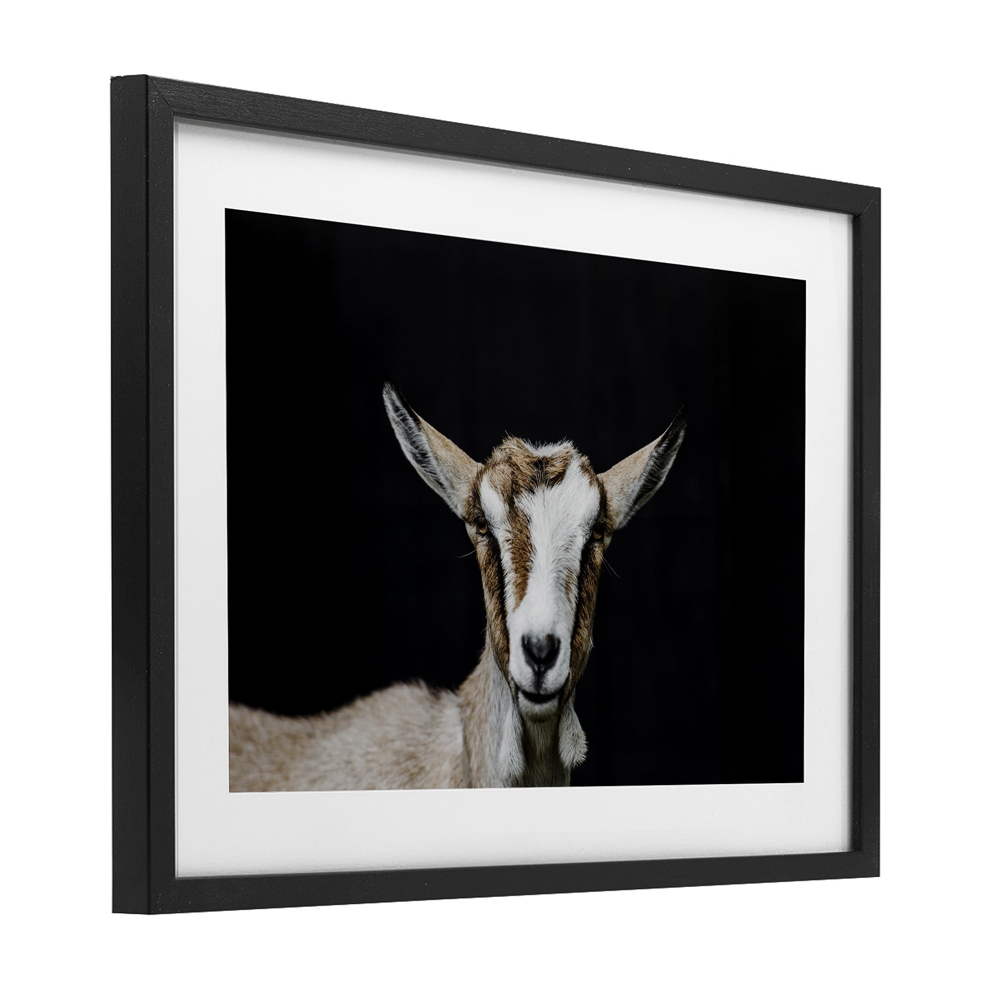 Goat Face over Black Black Framed Print Under Glass, design by Amy Carroll