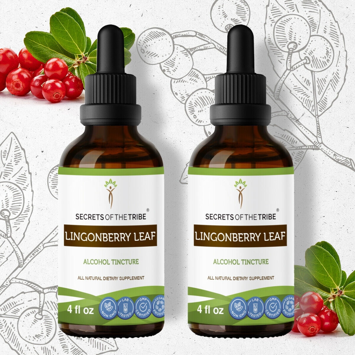 Lingonberry Leaf Tincture Alcohol Extract, Organic Lingonberry