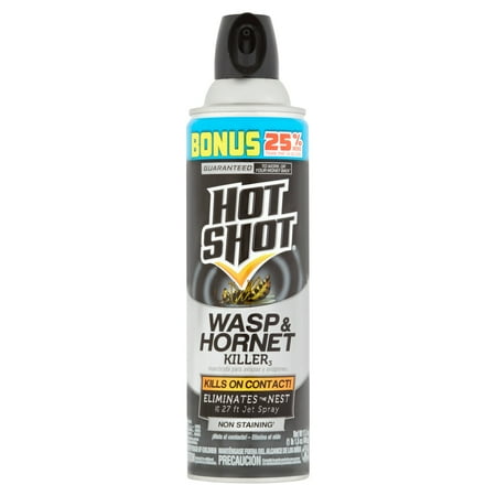 Hot Shot Wasp & Hornet Killer, Aerosol Spray, (Best Time To Spray Hornets Nest)