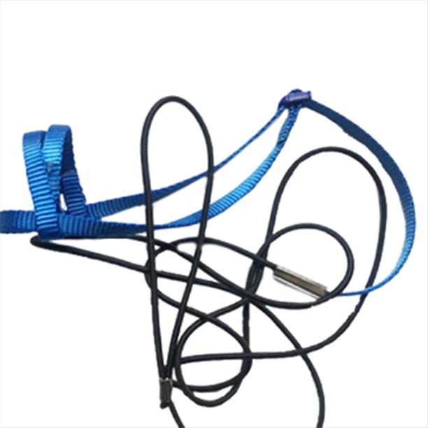 Correa de ArnéS para PáJaros y Loros, Correas de TraccióN para Vuelo Al Aire Libre, Cuerda de Entrenamiento Ajustable Antimordeduras, Azul L