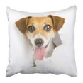 thumbnail image 1 of RYLABLUE Naughty Smiling Dog Looking Out From Hole In White Place For Your Text Adorable Pillowcase 18x18 inch, 1 of 1