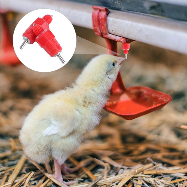 Greenadscape 25Ud Bebedero Automático Para Gallinas Y Con Tetina Desmontable