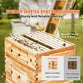 thumbnail image 2 of KFFKFF Bee Hive Langstroth Kit 10 Deep & 10 Medium Frames with Acrylic Windows, 2 of 9