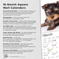 thumbnail image 5 of The Beauty of Yorkshire Terrier Puppies | 2024 12x24" Wall Calendar | StarGifts, 5 of 8