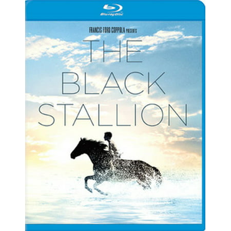 The Black Stallion (Blu-ray) (Best Stallions In The World)